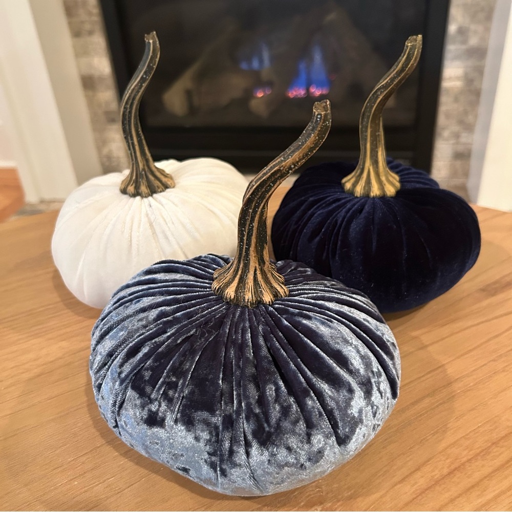 Velvet Pumpkins with Gold Stems - Midnight Blue, Ivory, and Blue